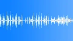 Black Throated Accentor CU Sound Effect
