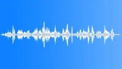 Black-throated canariesSound Effect