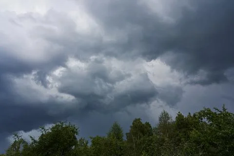 Black thundercloud above the trees Foto stock