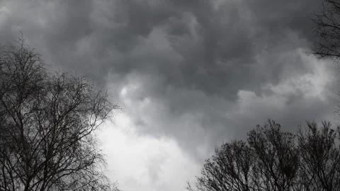 A black thundercloud floats across the sky above bare leafless tree branches Stockbeeldmateriaal 241400285