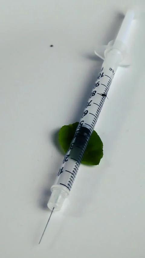 Black Ticks Spreading Lyme Disease Moving Near a Syringe Stock Footage 340259366