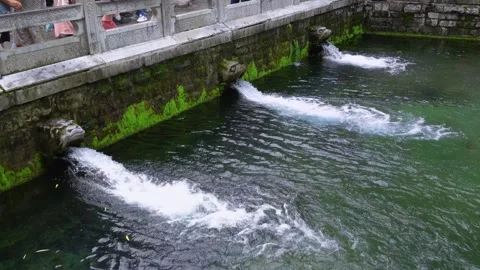 Black Tiger Spring: Water Cascading from Dragon Spouts Stock Footage 331215983