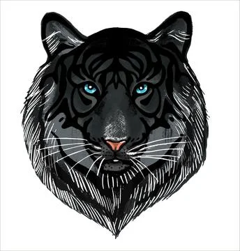 A black tiger on a white background. The head is a portrait of a predatory beast Stock Illustration