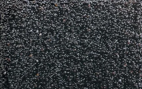 Black tobiko Stock Photos