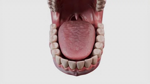 Black Tongue Video stock 316619203