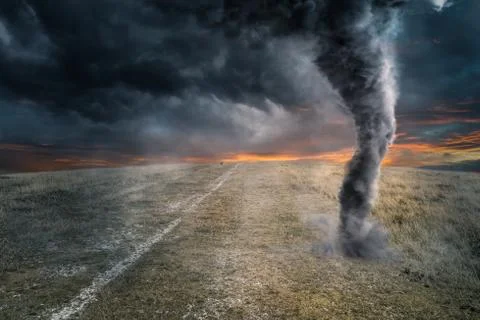 Black tornado funnel over field during thunderstorm 스톡 일러스트