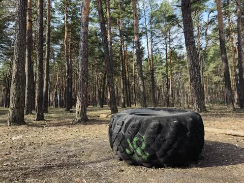 Black tractor tire left in a forest environment, representing illegal waste.. Stock Photos