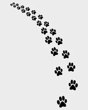 Black trail of cat Stock Illustration