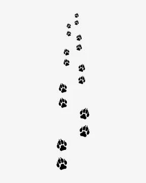 Black trail of dog Stock Illustration