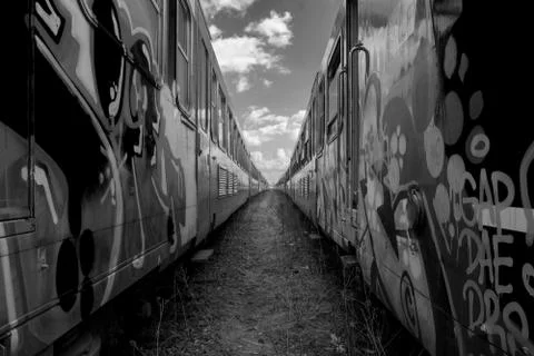 Black train Foto stock