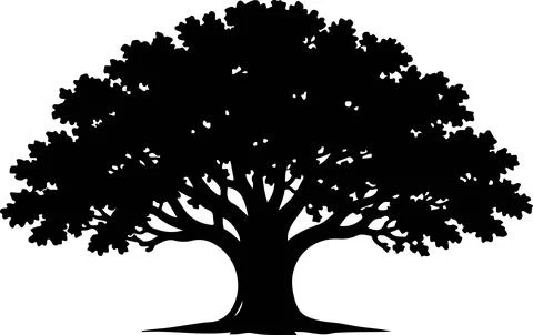 Black tree with bare branches and full green leaves silhouette against plai.. Stock Illustration