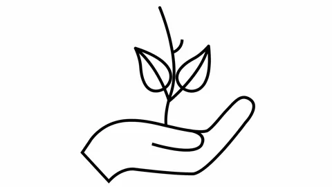 Black tree in hand white Video stock 229758008