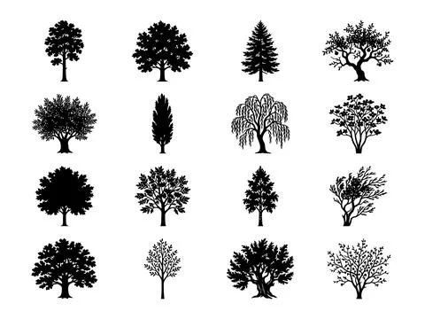 Black Tree Silhouette Bundle with Various Forest Garden and Landscape Trees Stock Illustration