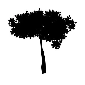 Black tree silhouette Stock Illustration