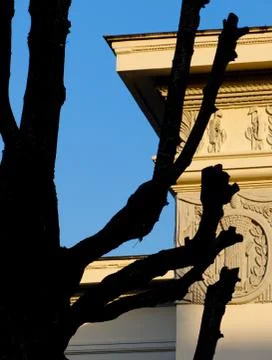 Black tree silhouette Stock Photos