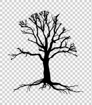 Black tree silhouette vector illustration style Stock Illustration