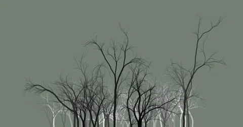 Black tree silhouettes on a dark background. wallpaper background abstract Stock Photos