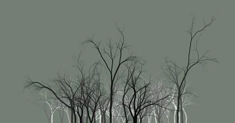 Black tree silhouettes on a dark background. wallpaper background abstract... Stock Photos