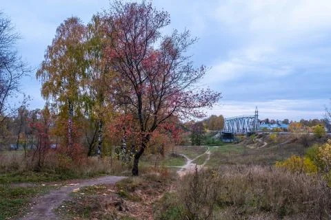 Black tree trunk on a background of red leaves on an autumn day. Stock Photos