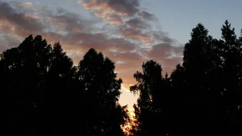 Black trees on the background of a beautiful red sunset. Aerial average size Stock Footage 141137744