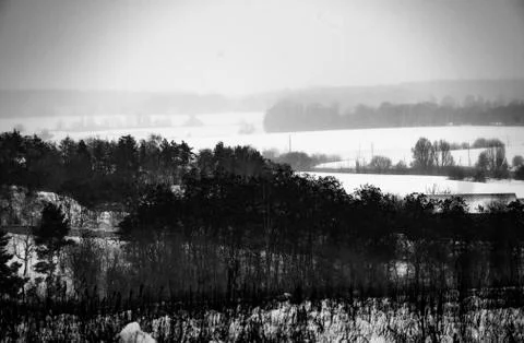 Black trees, snow-covered fields and fog. Stock Photos