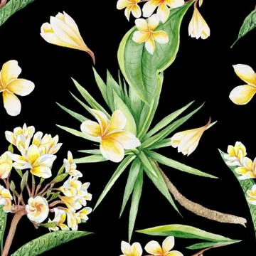 Black Tropical Pattern Stock Illustration