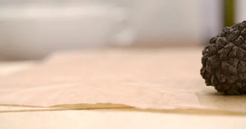 Black Truffle and Fine Dining Stock Footage 142314497