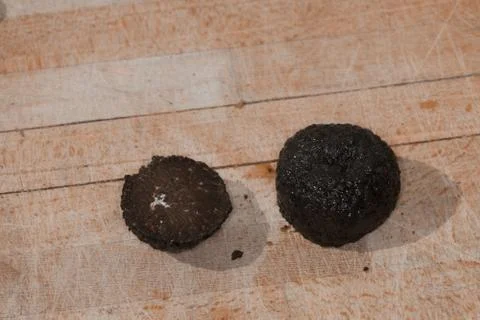 Black truffle isolated Stock Photos