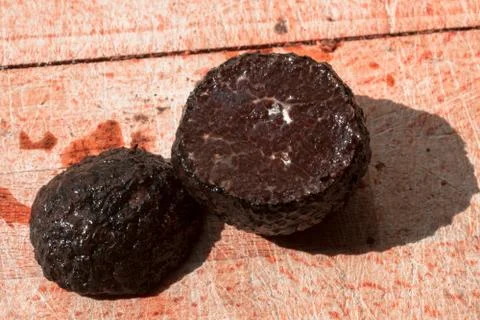 Black truffle isolated Foto stock