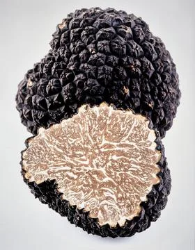 Black Truffle Isolated on White Background, Luxury Edible Fungi Representin.. Stock Photos