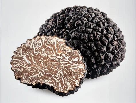 Black Truffle Isolated on White Background, Luxury Edible Fungi Representin.. Stock Photos