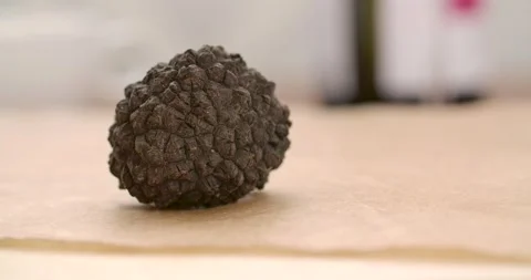 Black Truffle on a Wooden Table Stock Footage 142314396