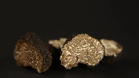 Black truffles with black background Video stock 82865346