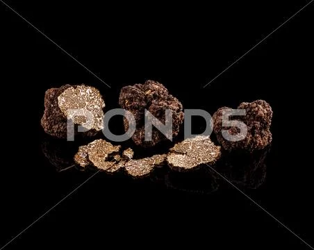 Black truffles Stock Photos
