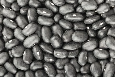 Black turtle bean background texture. (Phaseolus vulgaris) Stock Photos