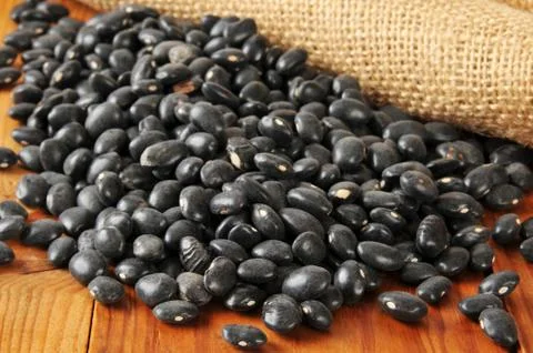 Black turtle beans Stock Photos