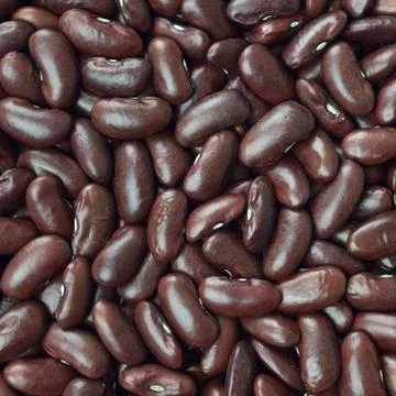 Black turtle beans texture background or pattern. raw food. Stock Photos