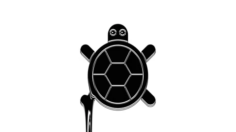 Black Turtle icon isolated on white background. 4K Video motion graphic Stock Footage 233882787