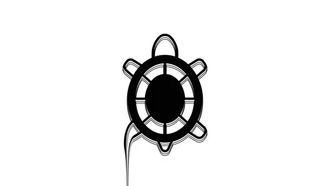 Black Turtle icon isolated on white background. 4K Video motion graphic Stock Footage 233972192
