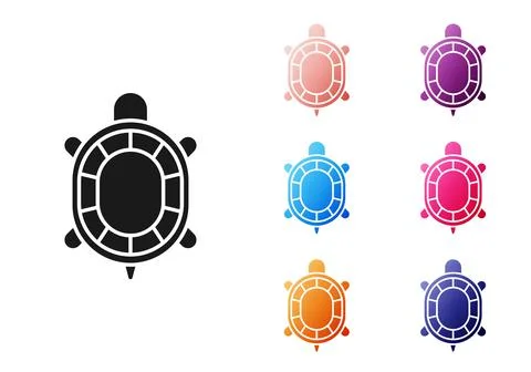 Black Turtle icon isolated on white background. Set icons colorful. Vector Stock Illustration