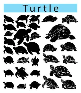 Black Turtle silhouette vector illustration, Turtle black and white vector Stock Illustration