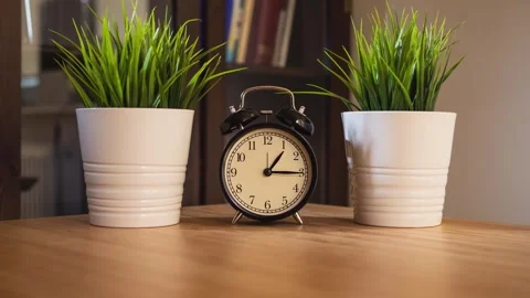 Black Twin-Bell Alarm Clock Surrounded by Potted Plants on Wooden Table Indoors Stock Footage 340138702
