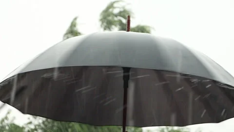 Black umbrella rotates, when it rains in cloudy weather Stock Footage 109487559