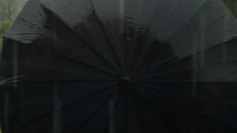 Black umbrella rotates, when it rains in cloudy weather Stock Footage 109545278