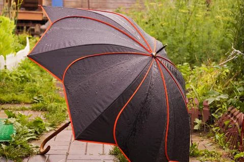 Black umbrella in the shape of a flower on path in garden. Stock Photos