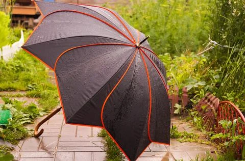 Black umbrella in the shape of a flower on path in garden. Stock Photos
