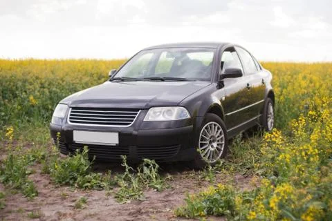Black unrecognizable car in the rape field Stock Photos