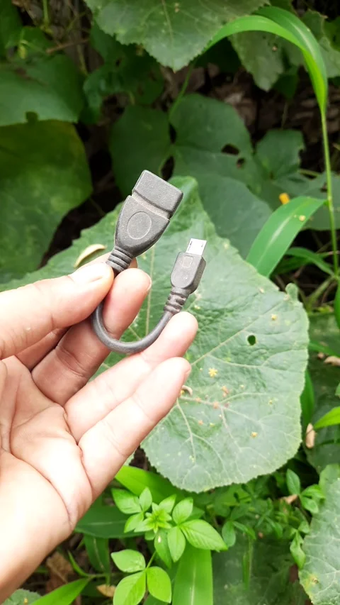 Black USB OTG adapter cable, held in hands with plastic housing and small c.. Stock-Footage 345113655