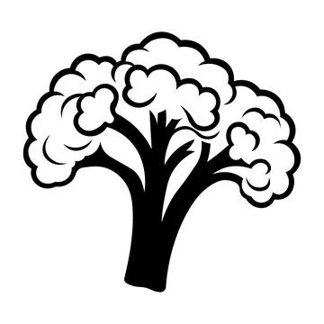 Black vector broccoli icon on white background Stock Illustration