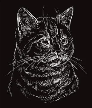 Black vector cat portrait,part 7 Illustrazione stock
